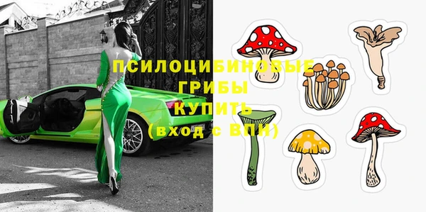 mdpv Михайловск