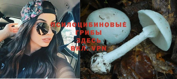 мескалин Михайловка